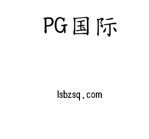 深圳市PG国际电子有限公司官网